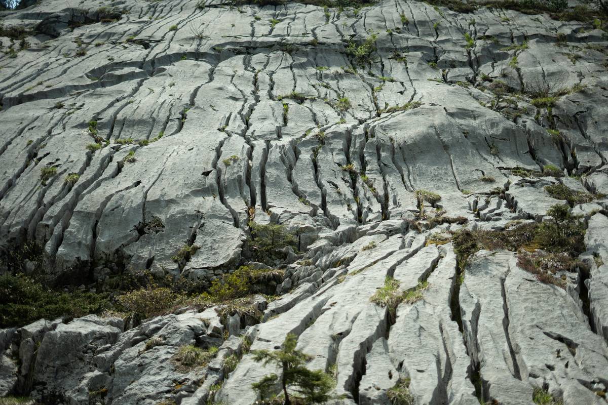 Climber testing piton for limestone cracks in vertical wall