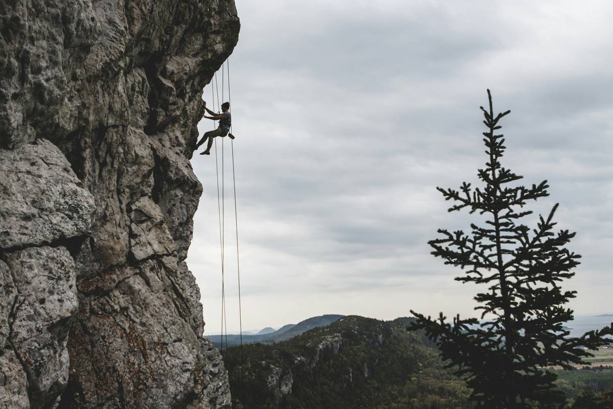 The Hidden Truth About Choosing the Right Piton for Bat Hooks